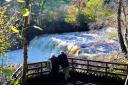 Aysgarth Falls Middle Falls