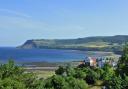 A summer's day in Robin Hood's Bay  Picture: Nick Fletcher
