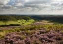 Hole of Horcum in the North York Moors National Park Picture: EBOR IMAGES