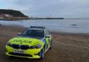 A woman was bitten by a Boxer dog on Cayton Bay Beach in Scarborough
