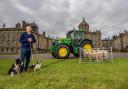 The annual international sheepdog trials will be held at Castle Howard Picture: Charlotte Graham