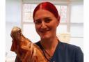Caroline Jones has been named as a finalist in the 2023 Petplan Veterinary Award