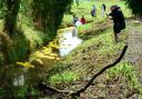 The Duck Race has raised thousands of pounds for the school
