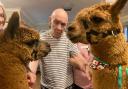 Residents at Norton care home are visited by local alpacas