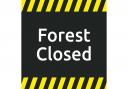 Dalby Forest is closed due to heavy snowfall