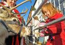 Ella, aged six, of Pickering, getting to know reindeer Comet from York Wonderland at Kirkbymoorside Christmas Market