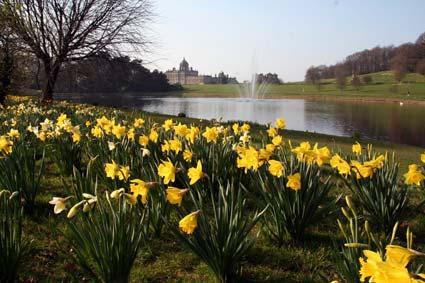 Spring time at Castle Howard, by Tonia Waller.
