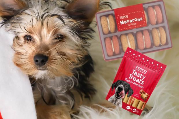 Gazette & Herald: Tesco dog snack Christmas range (Tesco)
