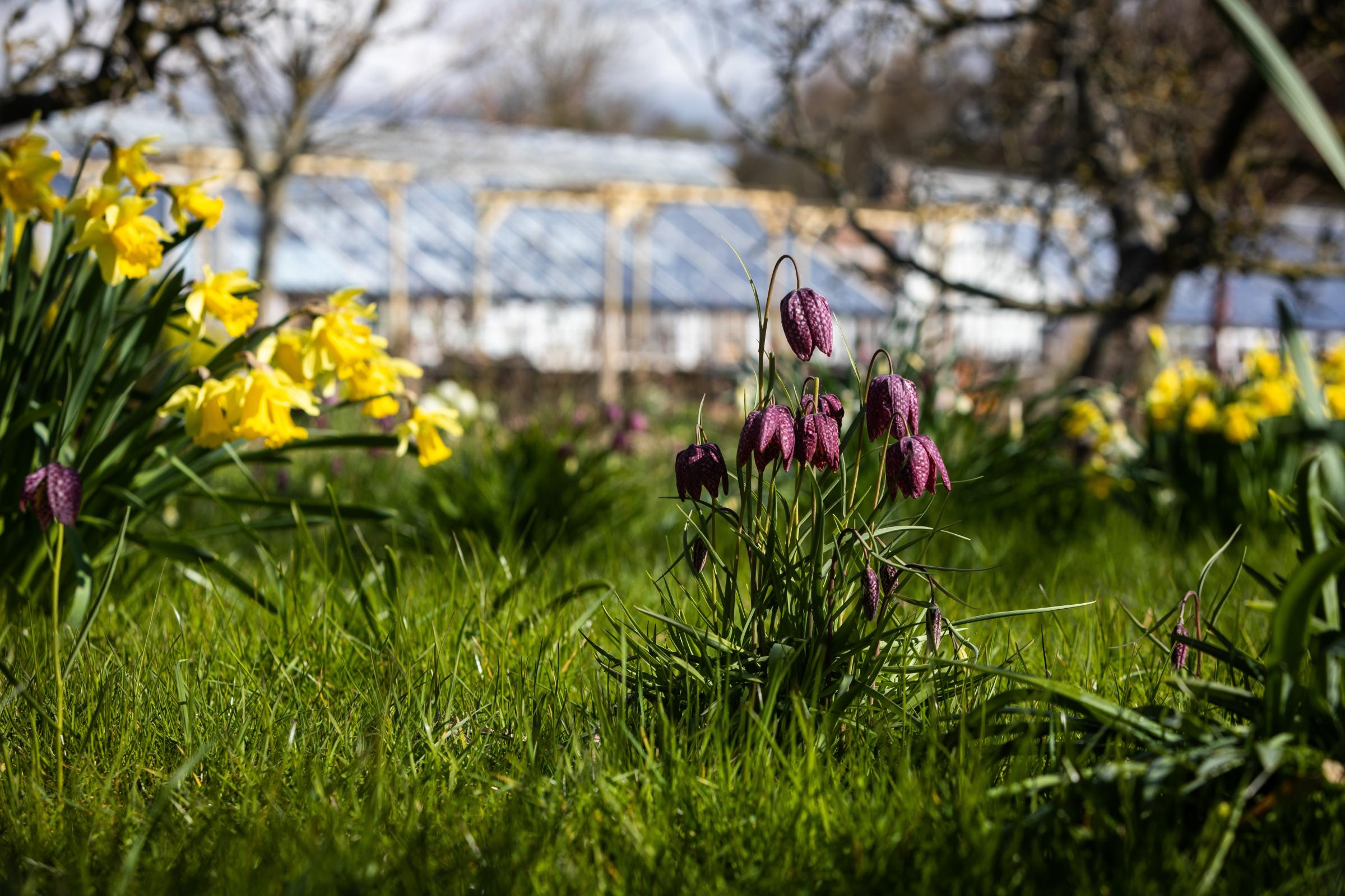 April is the cruellest month - Vimarsana News