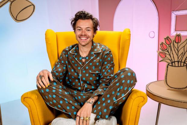 Gazette & Herald:  Harry Styles, 28, who will read Jess Hitchman's In Every House, On Every Street, which is illustrated by Lili la Baleine, on Monday evening. Credit: BBC/ PA