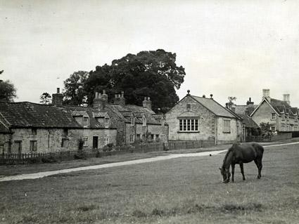 A horse grazes in the village of Coneysthorpe.
