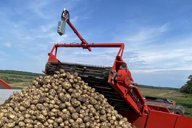 Dry weather in North Yorkshire has meant farmers are unable to grow potatoes