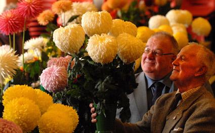 Chrysanthemum judges David Abbey, left, of Old Malton, and Robin Holmes, of Birdsall, with one of the prizewinning blooms at Kirkbymoorside Horticultural show.   