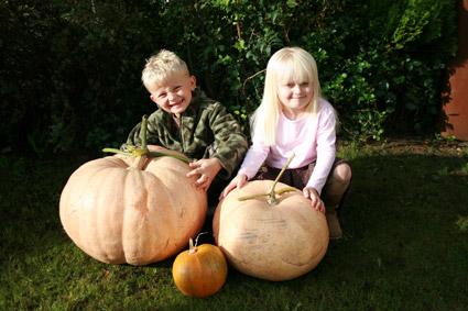 Joseph and Lola Weatherill get ready for Halloween with the giant pumpkins which they grew from seeds at their dad's allotment.