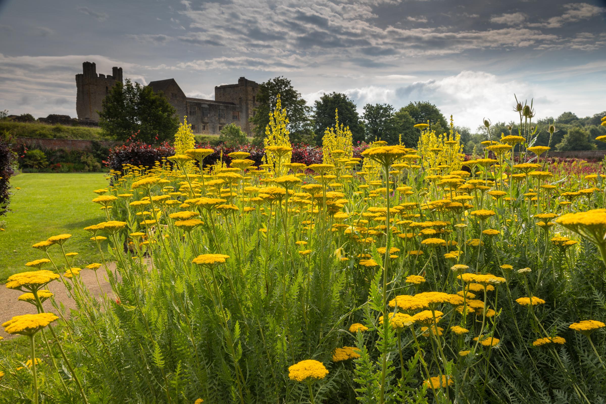 Garden shows off its delights - Vimarsana News