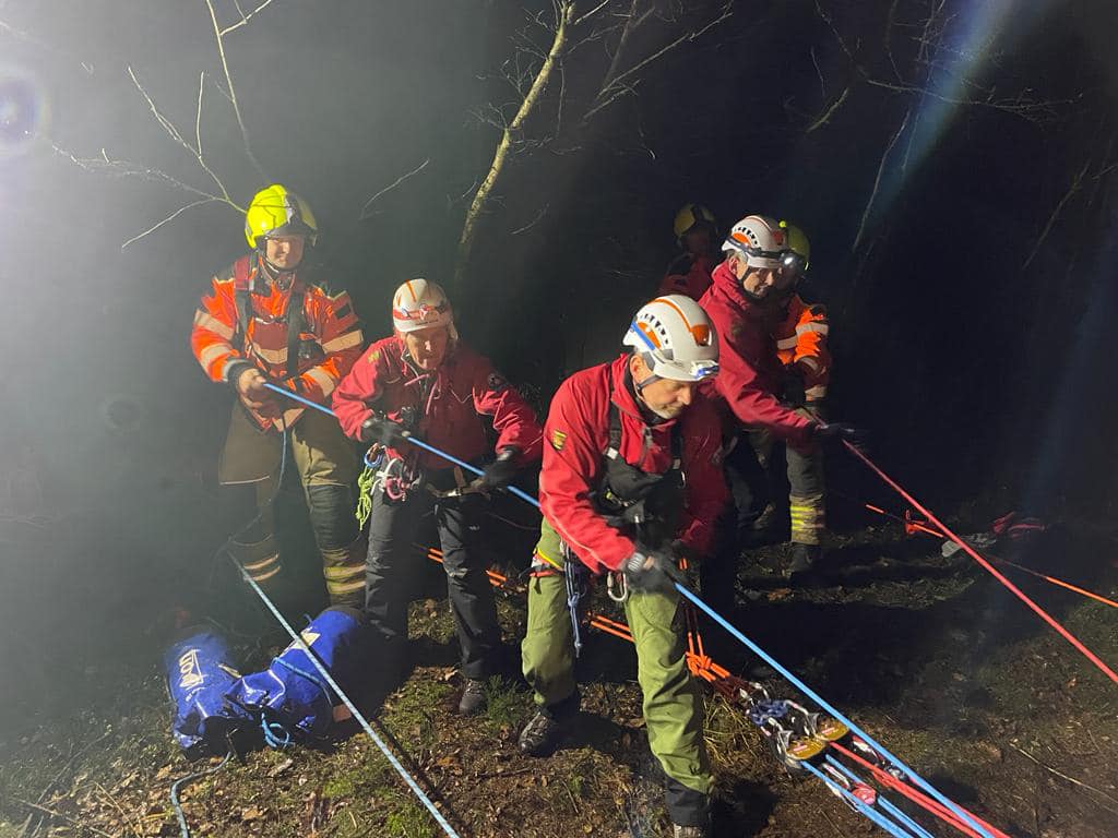 Dog rescued after falling down 50ft ravine - Vimarsana News