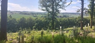 Hovingham Estate recognised for its excellence in the care of woodland - Vimarsana News