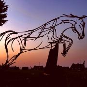 Malton in Bloom's horse on Broughton Road    Picture: Nick Fletcher