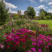 The cut flower border at Helmsley Walled Garden, which is hoping to reopen in August    Picture: Colin Dilcock