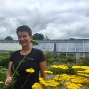 Tricia Harris, head of marketing and communications, at Helmsley Walled Garden, gets ready for the reopening on August 1