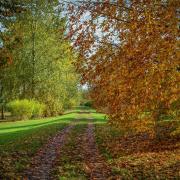 Autumn foliage at the Yorkshire Arboretum