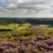 Hole of Horcum in the North York Moors National Park Picture: EBOR IMAGES