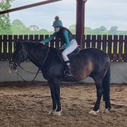 A riding lesson gift voucher would make a fantastic Christmas present