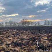 Strensall Common after the fire yesterday taken by Marion Hayhurst