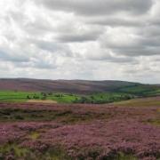 Meeting will help North York Moors farmers navigate agricultural transition