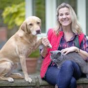 Caroline Clark is a registered veterinary nurse (RVN) with over forty years of experience working with and helping pets