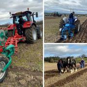 A young farmers club in Ryedale held its first ploughing match in 14 years – with over 40 tractors in attendance