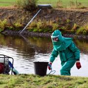 An Environment Agency worker treats river water affected by sewage
