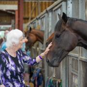 Meeting one of the horses. Tom Milburn Photography