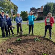 Councillors and staff, along with the Mayor Cllr Ian Conlan were joined by local residents and members of Malton's new Environment Group last Friday, spades in hand, to create new wildflower circles