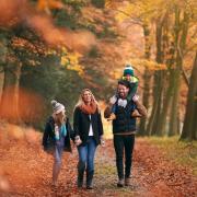 Which part of the North York Moors National Park do you like to explore in the autumn?