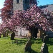 St Helen's Church in Amotherby