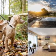 Will you be booking your next dog-friendly adventure in Skipton at Coniston Hotel Country Estate & Spa?