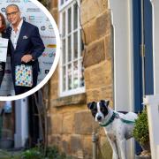Dog friendly stay at Sunnyside Cottage in North Yorkshire wins award