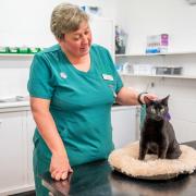 Veterinary nurse Michelle Coatsworth with Lightning