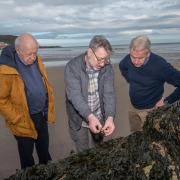North Yorkshire Council's leader, Cllr Carl Les, Professor Darren Gröcke from Durham University and the council's chief executive, Richard Flinton, at Scarborough's South Bay