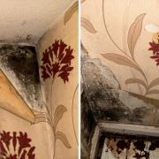 Jane Walker claims mould has been building up in her home for more than 14 years