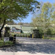 Ian Mosey Ltd Blackdale Mill site entrance. Photo Ian Mosey Ltd