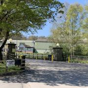 Animal feed firm Ian Mosey\'s base at Blackdale Mill, near Gilling East Picture: Ian Mosey
