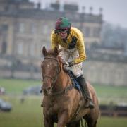 Joe Wright and Game as a Pheasant, winner of the Subaru Restricted at the Duncombe Park point-to-point on Sunday. Picture: Tom Milburn Photography
