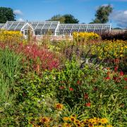 Colourful hot border at Helmsley Walled Garden