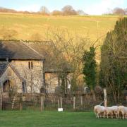 Sheep graze peacefully near the church in Ellerburn   Picture: Sue Cuthbert.