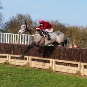 Absainte ridden by Will Easterby. Picture: Tom Milburn Photography