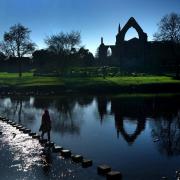 Bolton Abbey       Picture Frank Dwyer.