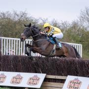 Marcus Haigh on Sixaside at Askham Bryan point-to-point meeting      Picture: Tom Milburn Photography