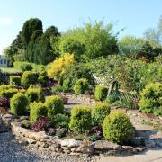 Hutton Buscel is holding its annual open gardens event on Sunday, June 9